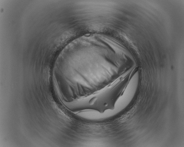 X0000088410637200706191423