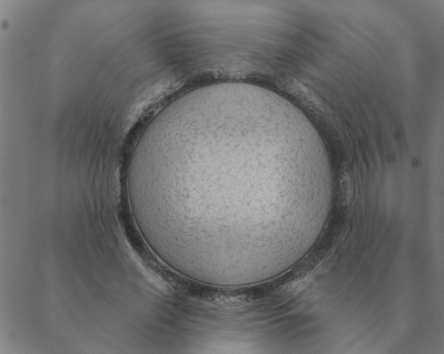 X0000088410638200706191423