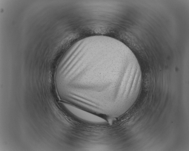 X0000088410639200706191423