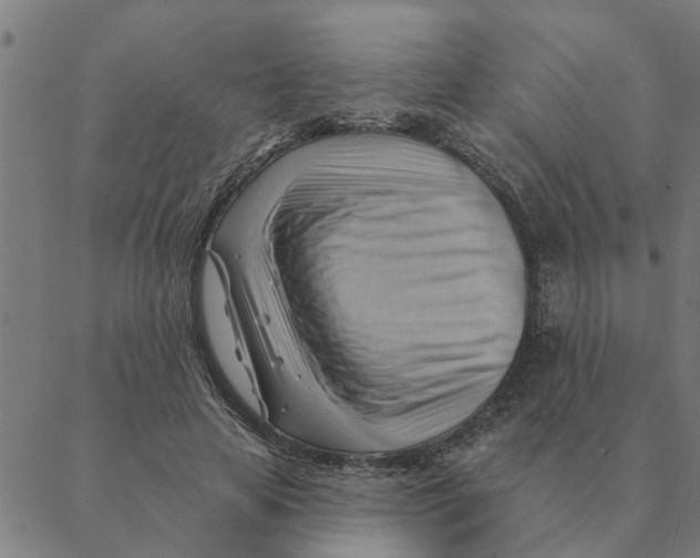 X0000088410641200706191423