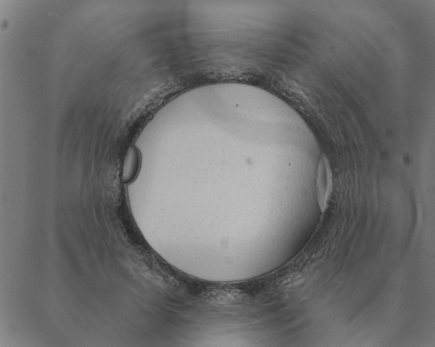 X0000088410642200706191423