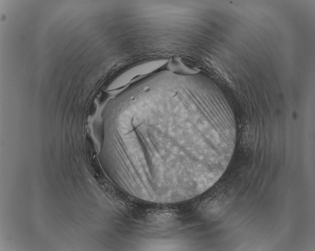 X0000088410643200706191423