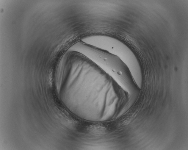 X0000088410644200706191423