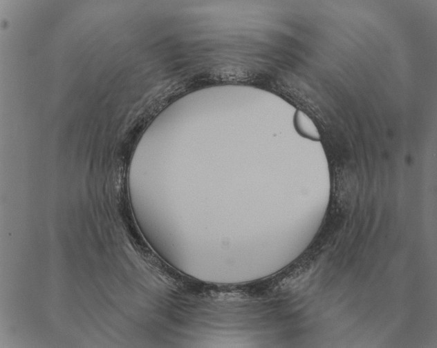 X0000088410645200706191423