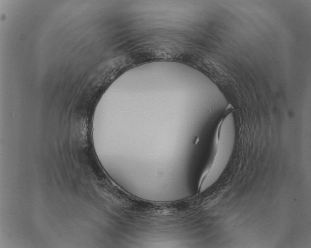 X0000088410646200706191423