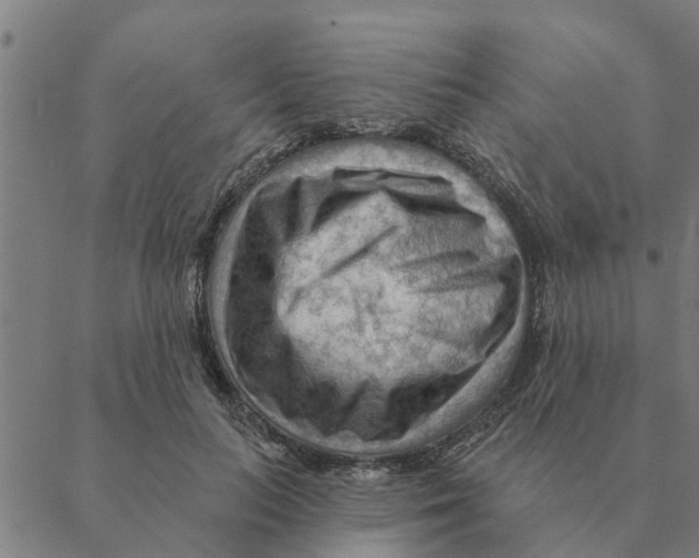 X0000088410647200706191423