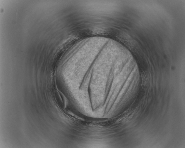 X0000088410648200706191423