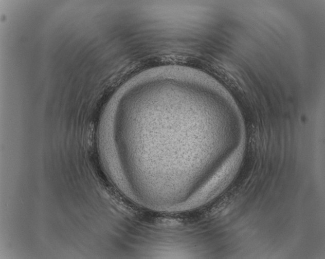 X0000088410649200706191423