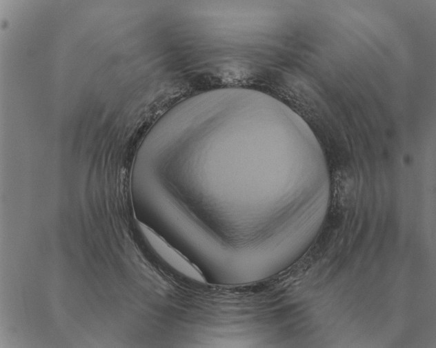 X0000088410650200706191423