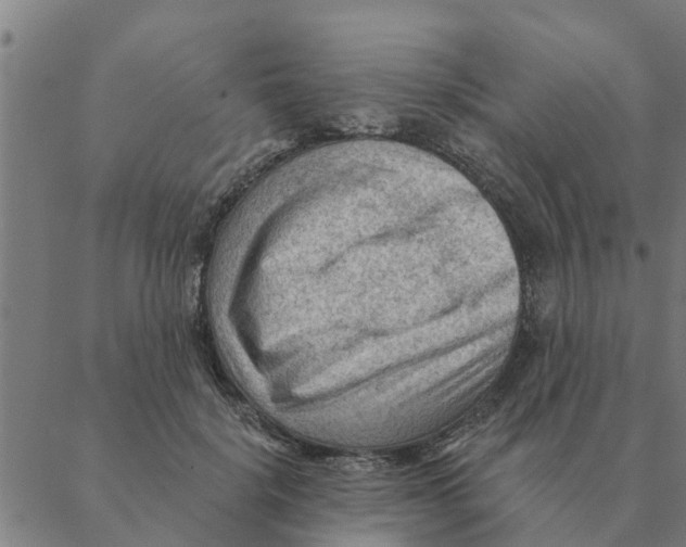 X0000088410652200706191423