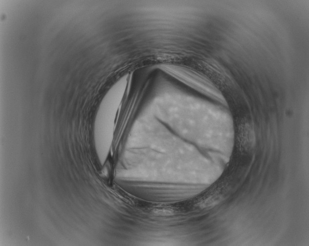 X0000088410653200706191423