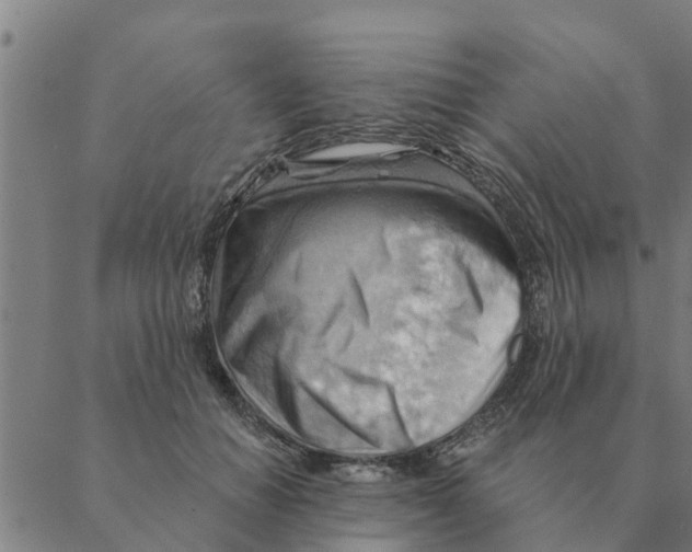 X0000088410654200706191423