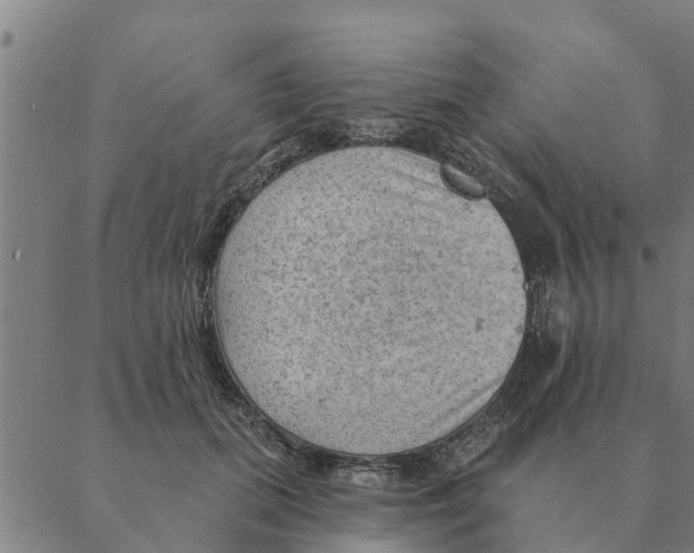 X0000088410655200706191423