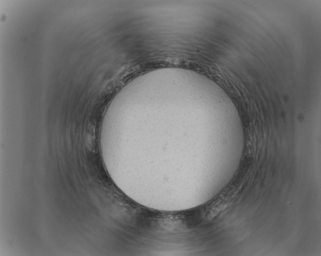 X0000088410656200706191423