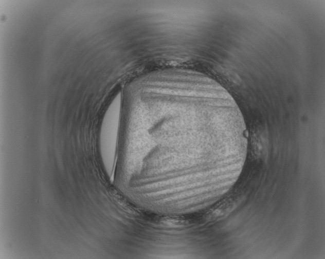 X0000088410657200706191423