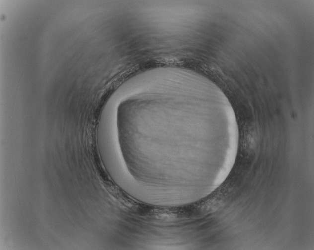 X0000088410658200706191423