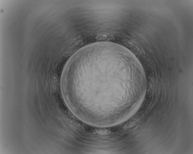 X0000088410659200706191423