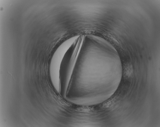 X0000088410661200706191423