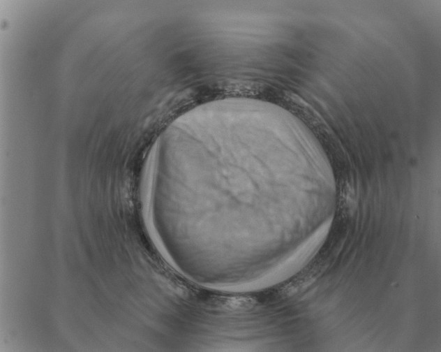 X0000088410663200706191424