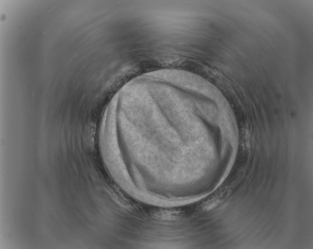 X0000088410664200706191424