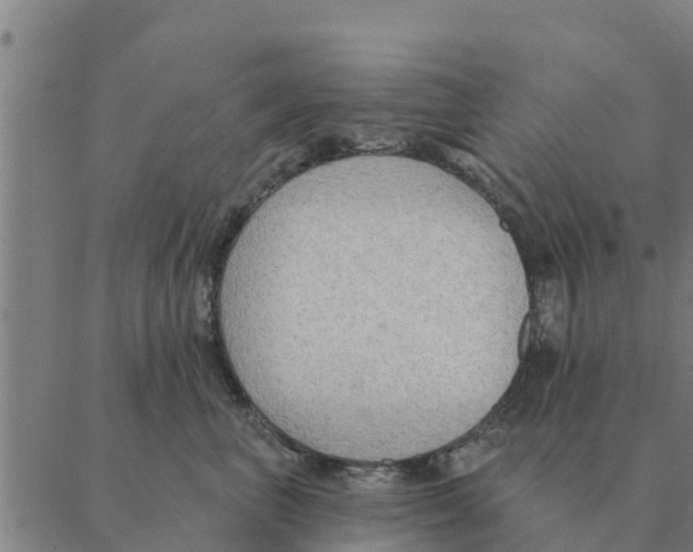 X0000088410667200706191424