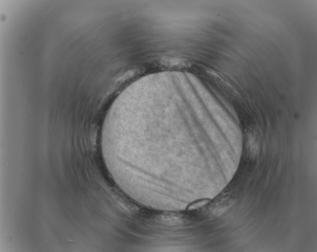 X0000088410668200706191424