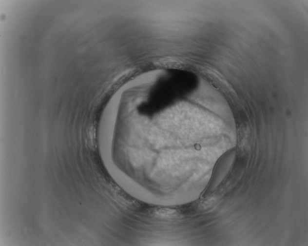 X0000088410669200706191424