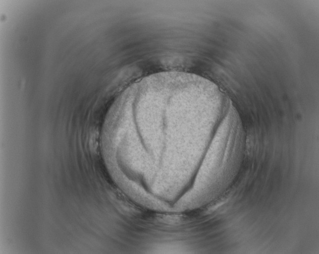 X0000088410671200706191424