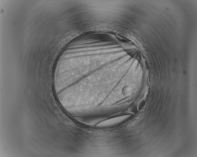 X0000088410673200706191423