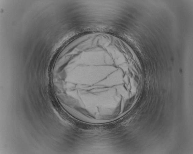 X0000088410674200706191423