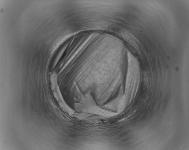 X0000088410676200706191423