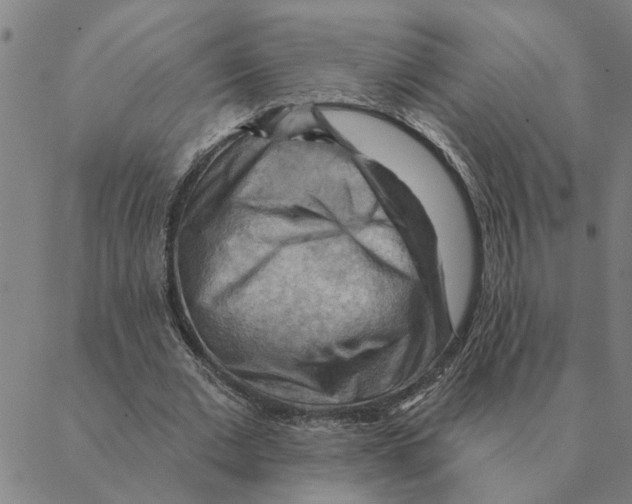 X0000088410677200706191423