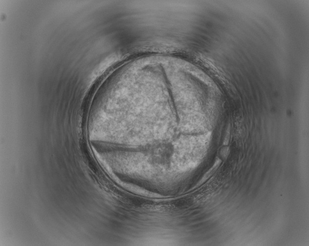 X0000088410679200706191423