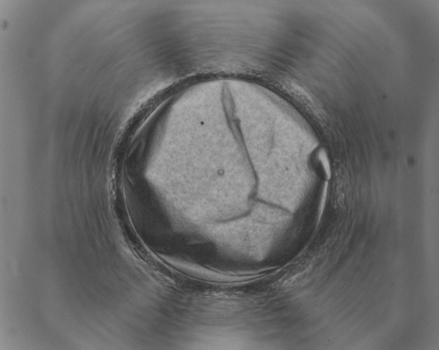 X0000088410680200706191423