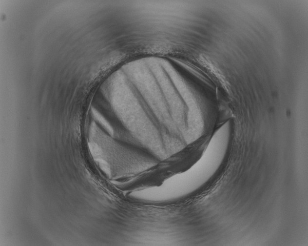 X0000088410681200706191423