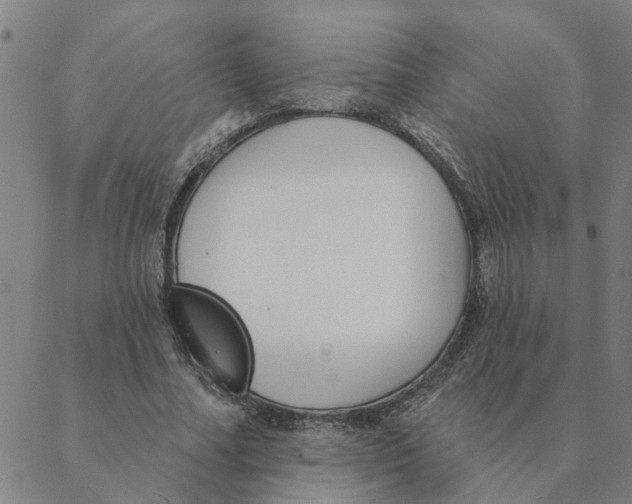 X0000088410682200706191423