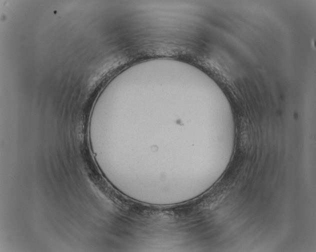 X0000088410683200706191423