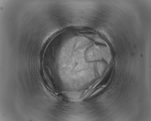 X0000088410684200706191423