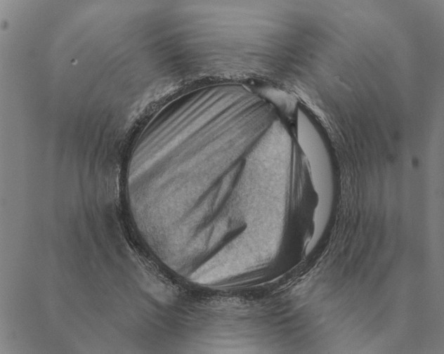 X0000088410685200706191423