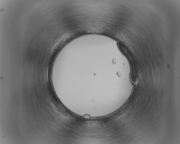 X0000088410686200706191423