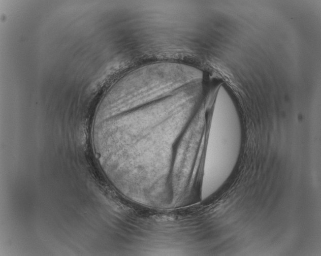 X0000088410687200706191423