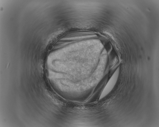 X0000088410688200706191423