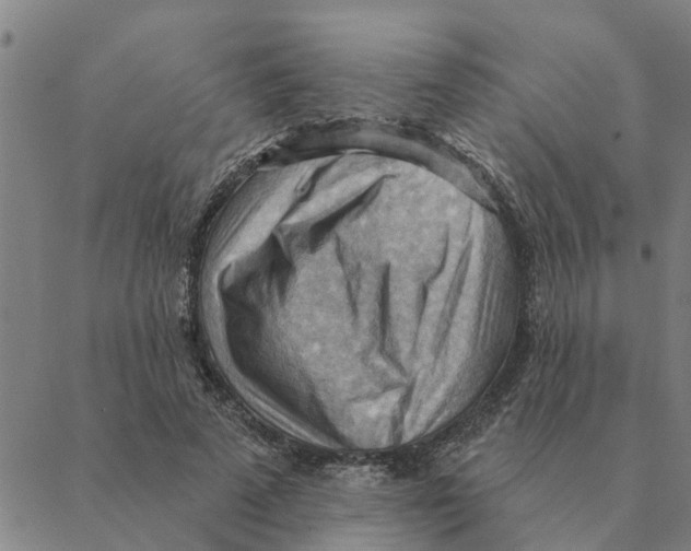 X0000088410689200706191423