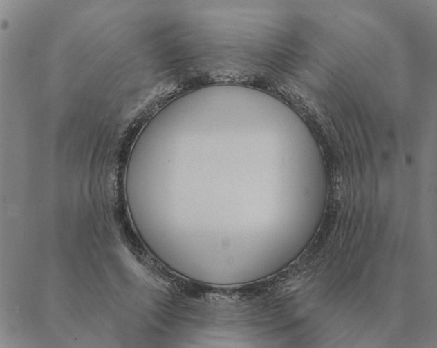 X0000088410690200706191423