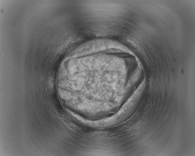 X0000088410691200706191423