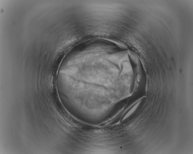 X0000088410692200706191423