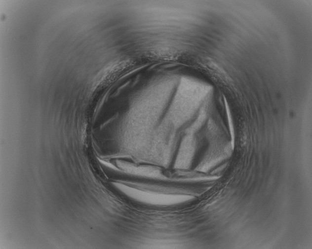 X0000088410693200706191423