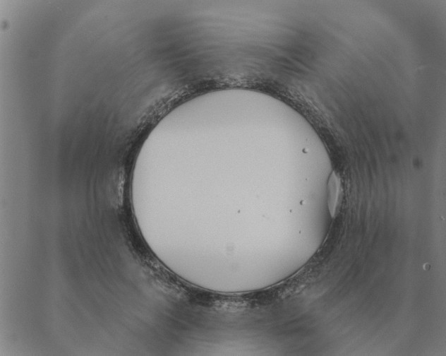 X0000088410694200706191423