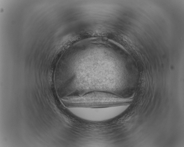 X0000088410695200706191423