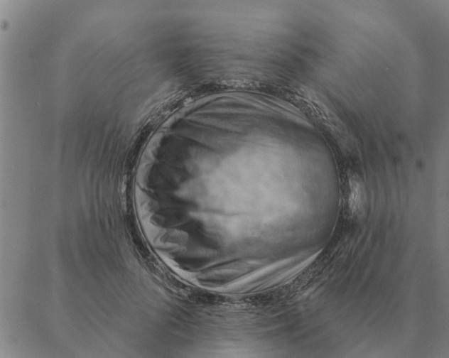 X0000088410696200706191423